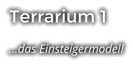 Terrarium 1 …das Einsteigermodell