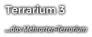 Terrarium 3 …das Mehrarten-Terrarium